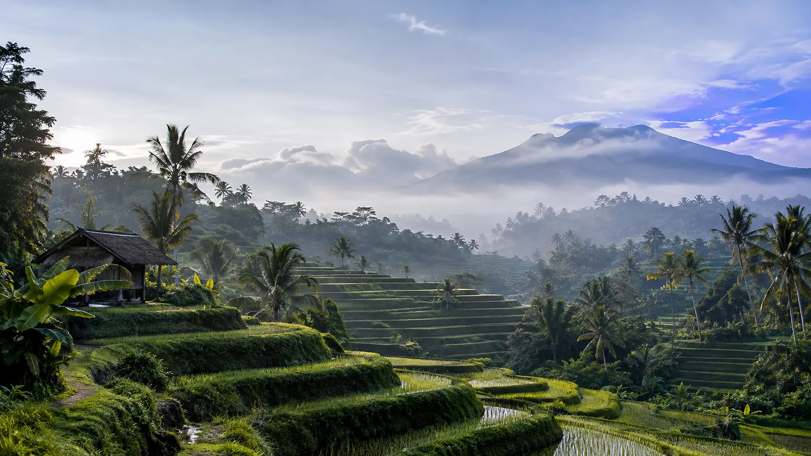 Tegalalang Rice Terraces