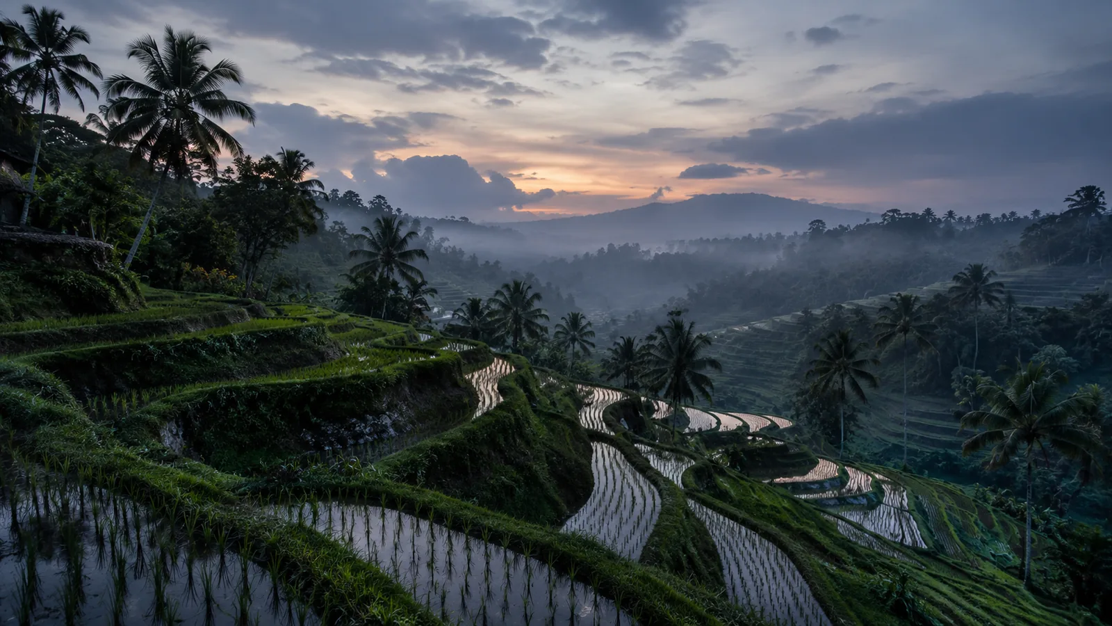 Tegalalang Rice Terraces